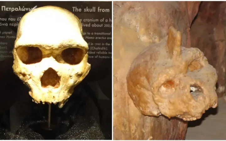 300,000-year-old ‘horned’ skull found in Greece cave: Is this a new branch of human ancestry?