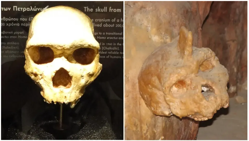 300,000-year-old ‘horned’ skull found in Greece cave: Is this a new branch of human ancestry?