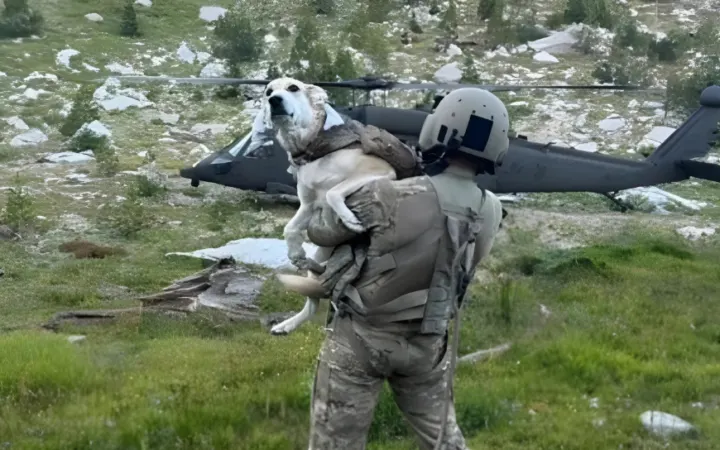 National Guard Black Hawk rescues injured hiker and his dog: How did medics airlift the pup safely?