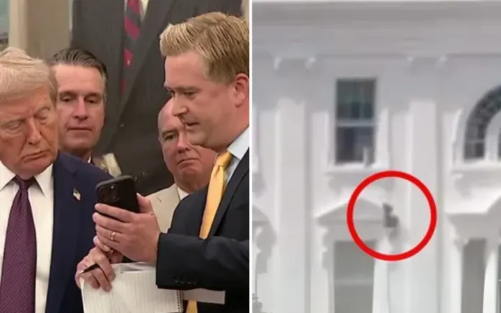 Viral Video of White House Windows Raises Questions: Was It Real or AI-Generated?
