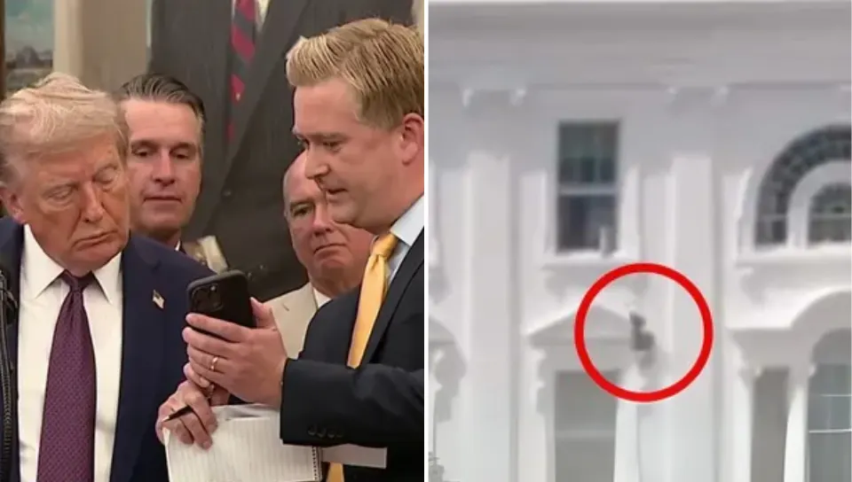 Viral Video of White House Windows Raises Questions: Was It Real or AI-Generated?
