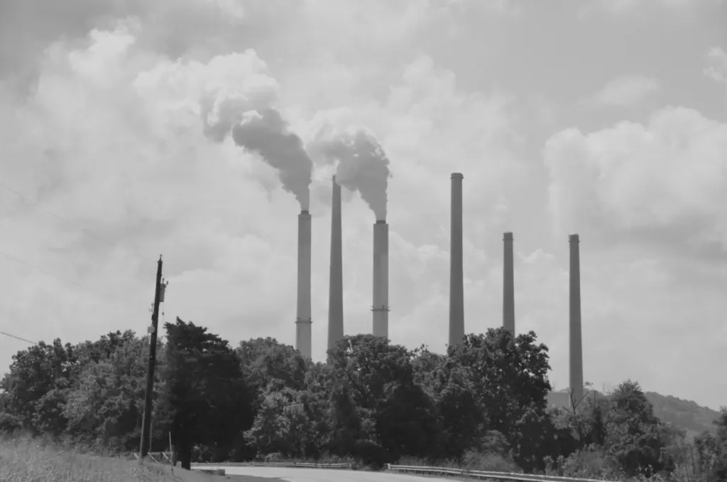 Harrison Ford Trump: Industrial smokestacks releasing smoke above a line of trees