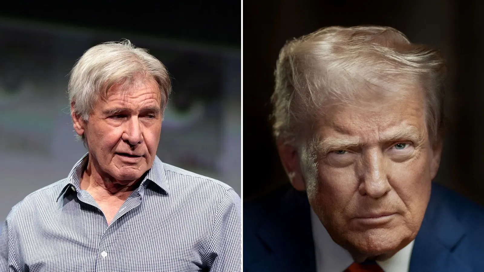 Harrison Ford accused Donald Trump of making money hand over fist while the world goes to hell