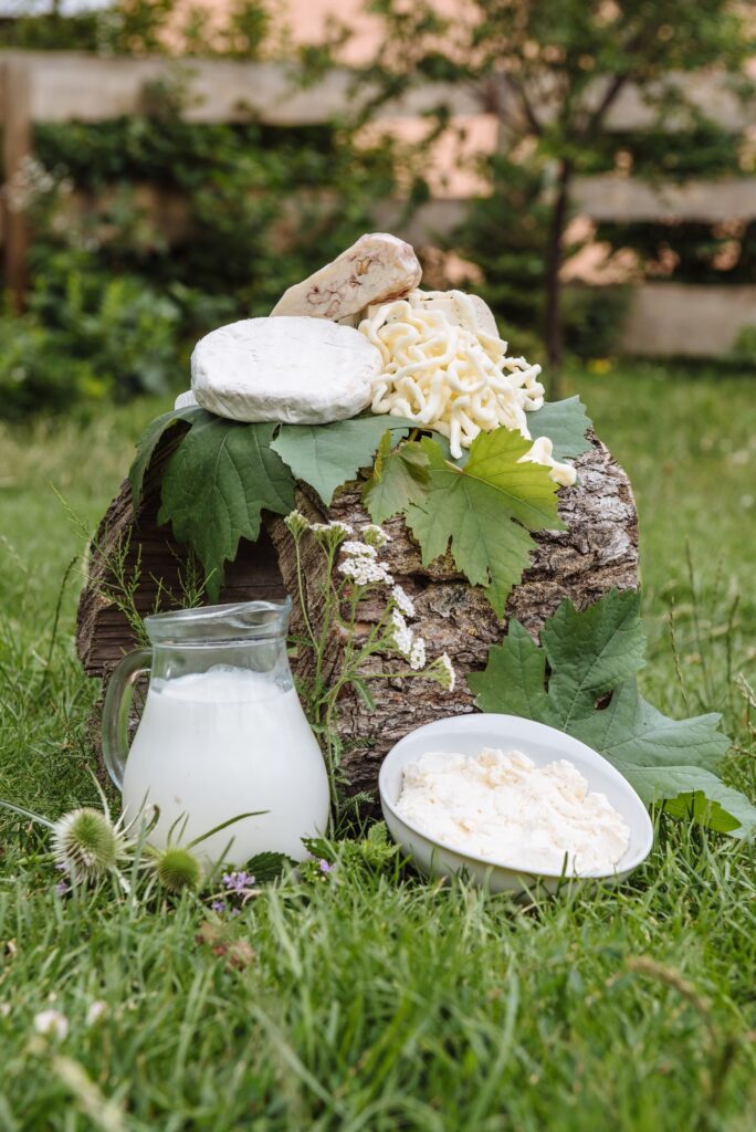 Cheese and a bottle of milk on grass